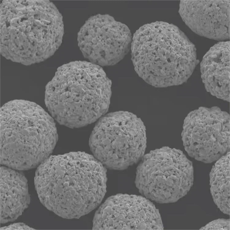 Coarse Grained WC/Ni Based Alloy