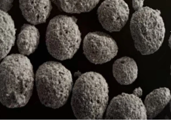 WC-12Ni Thermal Spray